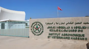 معرض الزراعة يروج لاستغلال فعال للموارد الطبيعية