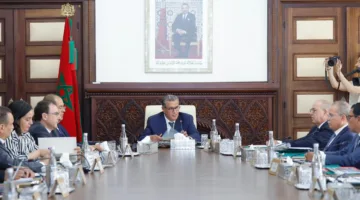 القرض الزراعي: 700 مليون درهم لتقديم الدعم لمربي الحيوانات