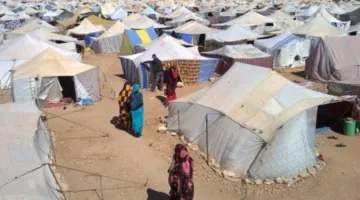 فعل دولي يكشف تورط ميليشيا “البوليساريو” في انتهاك حقوق الإنسانية في تندوف