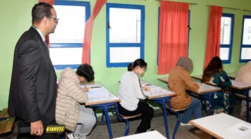 “وزارة برادة” تُحاصر المحتالين وتختبر نظام مراقبة رقمي في التعليم الاستدراكي