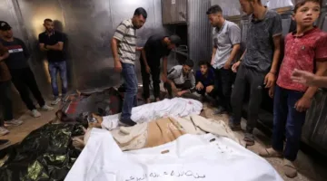 أول دراسة مستقلة: مقتل 84 ألف فرد في غزة