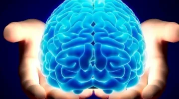 7 نصائح قيمة لتعزيز وظائف الدماغ.. اكتشفها الآن