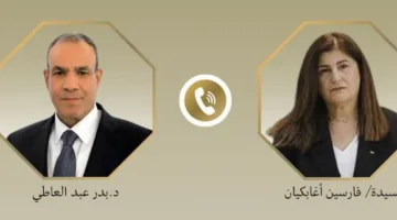 وزير الخارجية: مصر تواصل مساعيها الدبلوماسية للبحث عن حل سياسي للقضية الفلسطينية