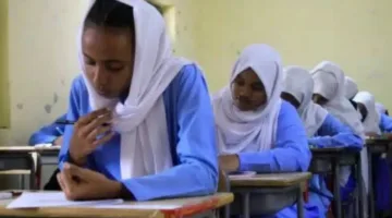نتائج الشهادة السودانية 2025: كيفية الاستعلام عنها