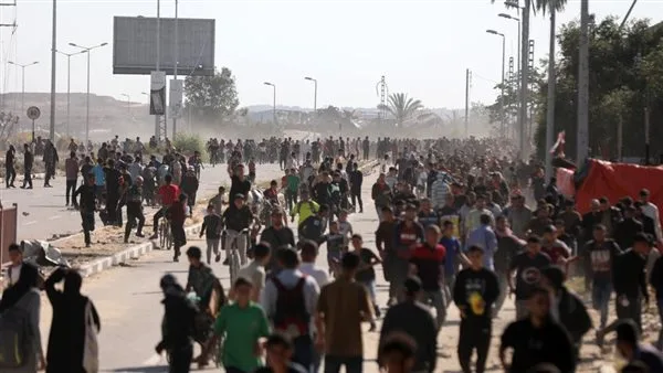 74 شهيداً، من بينهم 13 من منتظري المساعدات، جراء القصف الإسرائيلي على غزة