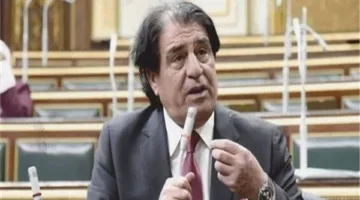 برلمان مصر: البلاد تواصل دعمها للقضية الفلسطينية ولن تقبل بتقويضها