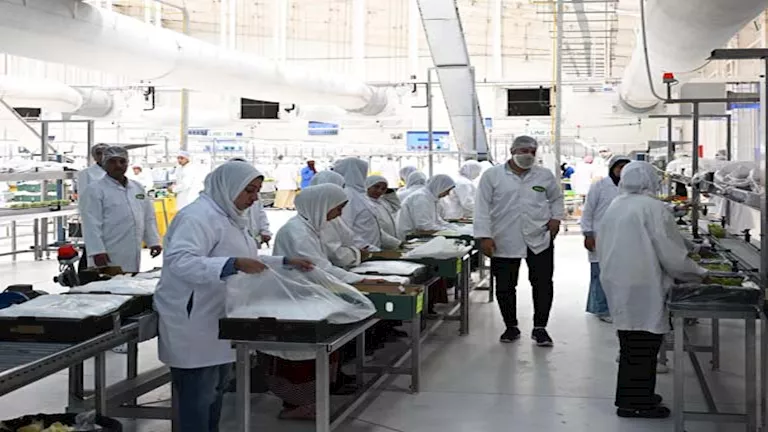 7600 فرصة عمل: مدبولي يقوم بجولة في شركة مغربي الزراعية “مافا”