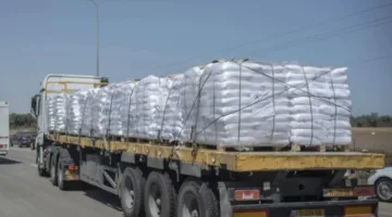 دعم لأسر غزة.. الحكومة الفلسطينية تحصل على 30 ألف طن من القمح من روسيا