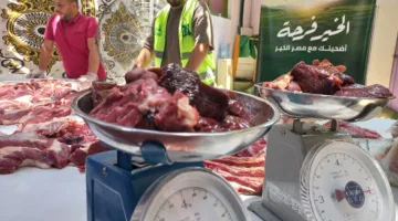 محافظ أسيوط: ذبح وتوزيع 230 رأس من المواشي على الأسر المحتاجة للرعاية.