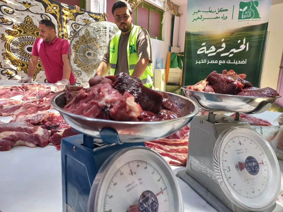محافظ أسيوط: ذبح وتوزيع 230 رأس من المواشي على الأسر المحتاجة للرعاية. محافظ أسيوط: ذبح وتوزيع 230 رأس من المواشي على الأسر المحتاجة للرعاية.