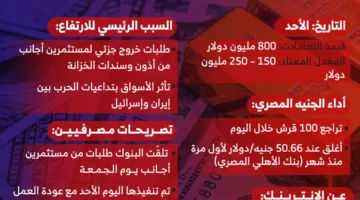 800 مليون دولار.. ارتفاع تاريخي في تداول الدولار عبر الإنتربنك في مصر