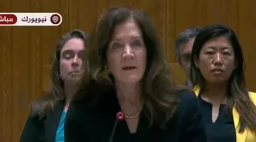 نائبة المندوب الأمريكي ترتكب خطأ لفظياً في جلسة مجلس الأمن: إسرائيل تسببت في الفوضى والإرهاب في المنطقة