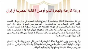 وزارة الخارجية والهجرة تراقب أحوال المصريين المقيمين في إيران
