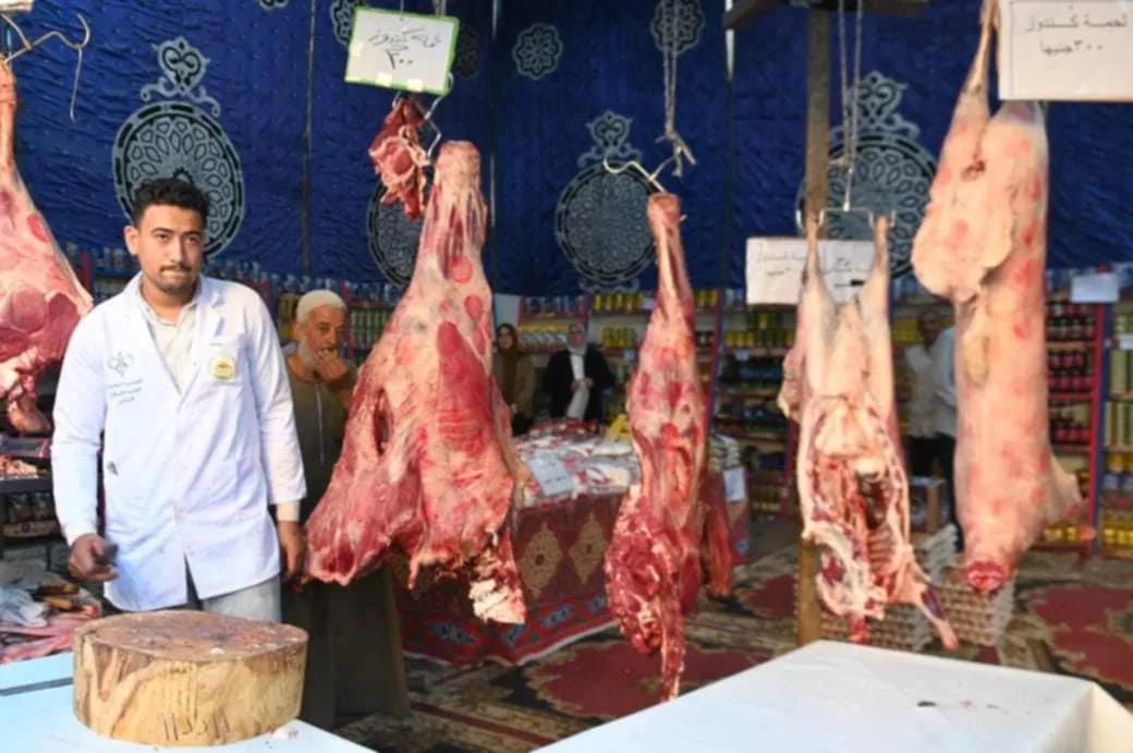 البحيرة: 45 خيمة لبيع اللحوم وأسواق متحركة تحضيرًا لعيد الأضحى