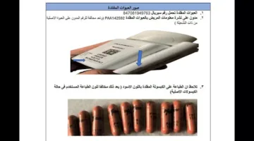 9 تحذيرات بشأن الأدوية في يونيو: اعرف الأسماء وطرق الكشف عنها