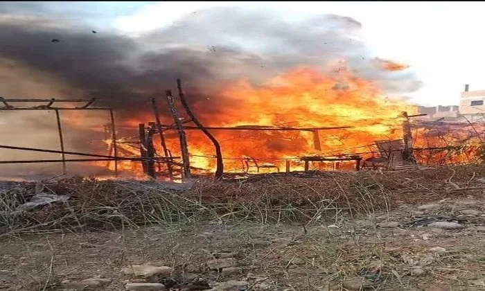 المنوفية: حريق في حظيرة للماشية بقرية مليج يسفر عن نفوق بعض الحيوانات دون وقوع إصابات بشرية. المنوفية: حريق في حظيرة للماشية بقرية مليج يسفر عن نفوق بعض الحيوانات دون وقوع إصابات بشرية.