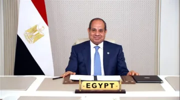 نتائج الطلاب للصف الثالث الإعدادي عام 2025 في محافظة الجيزة باستخدام رقم الجلوس