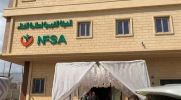 تفاصيل استحواذ الجيش الإسرائيلي على سفينة مادلين المتوجهة نحو غزة