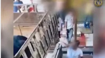 الأمن يقبض على المشتبه به في فيديو اعتداء على ماشية في سيارة نقل