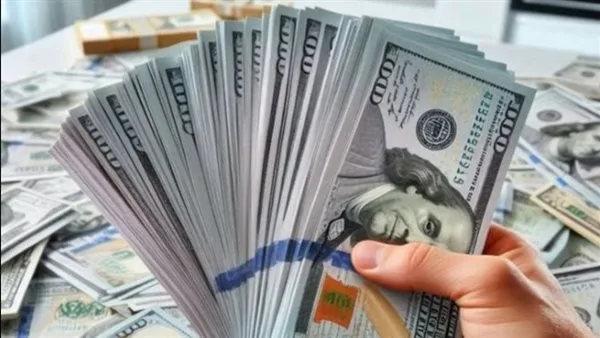 سعر الدولار اليوم أمام الجنيه: استقرار في المصارف الحكومية والخاصة سعر الدولار اليوم أمام الجنيه: استقرار في المصارف الحكومية والخاصة