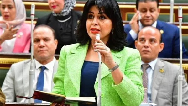 وسائل التواصل النيابي: جماعة الإخوان تروج الشائعات لزعزعة استقرار البلاد وسائل التواصل النيابي: جماعة الإخوان تروج الشائعات لزعزعة استقرار البلاد