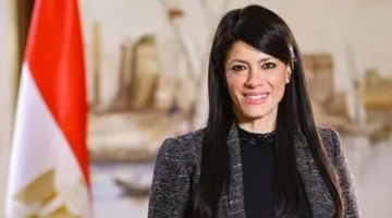 المشاط: البنوك والجهات المالية حصلت على أكثر من 40% من التسهيلات المالية الموجهة للقطاع الخاص.