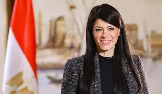 المشاط: البنوك والجهات المالية حصلت على أكثر من 40% من التسهيلات المالية الموجهة للقطاع الخاص.