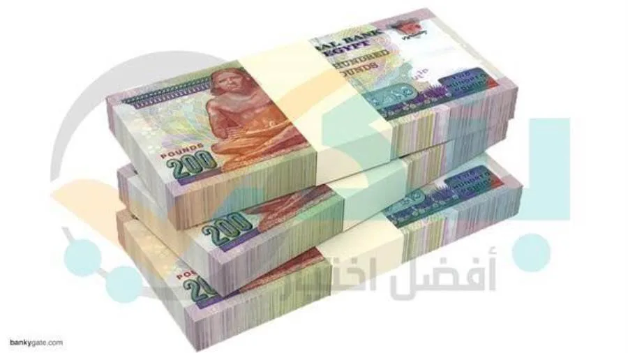 CIB وQNB مصر يتصدران قائمة البنوك المدرجة في البورصة من حيث إقراض الأفراد في الربع الأول من 2025.