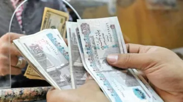 البنوك تعزز احتياطياتها بمبلغ 40 مليار جنيه لمواجهة حالات التعثر المالي