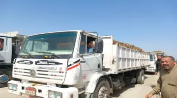 زراعة بني سويف تعلن حل مشاكل نقل وتوريد محصول بنجر السكر