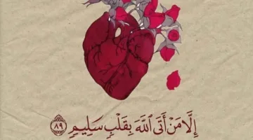 عبير منطاش تكتب.. مفتاح النجاح في القبول