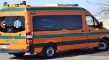 طالب يتعرض للإصابة خلال نزاع داخل مدرسة فيديمين الابتدائية في محافظة الفيوم.
