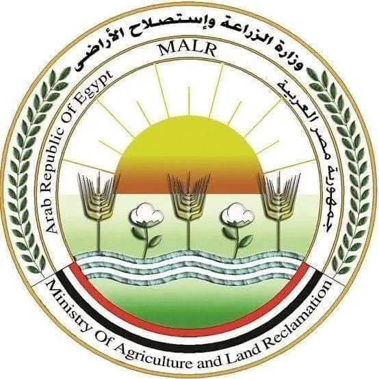الزراعة: المجازر العامة استقبلت أكثر من 34 ألف أضحية خلال العيد في جميع المناطق.