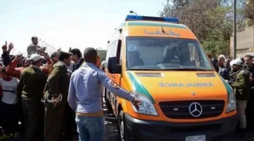 مقتل شخص وإصابة آخر جراء تصادم بين ونش صيانة كهرباء ودراجة نارية في الدقهلية