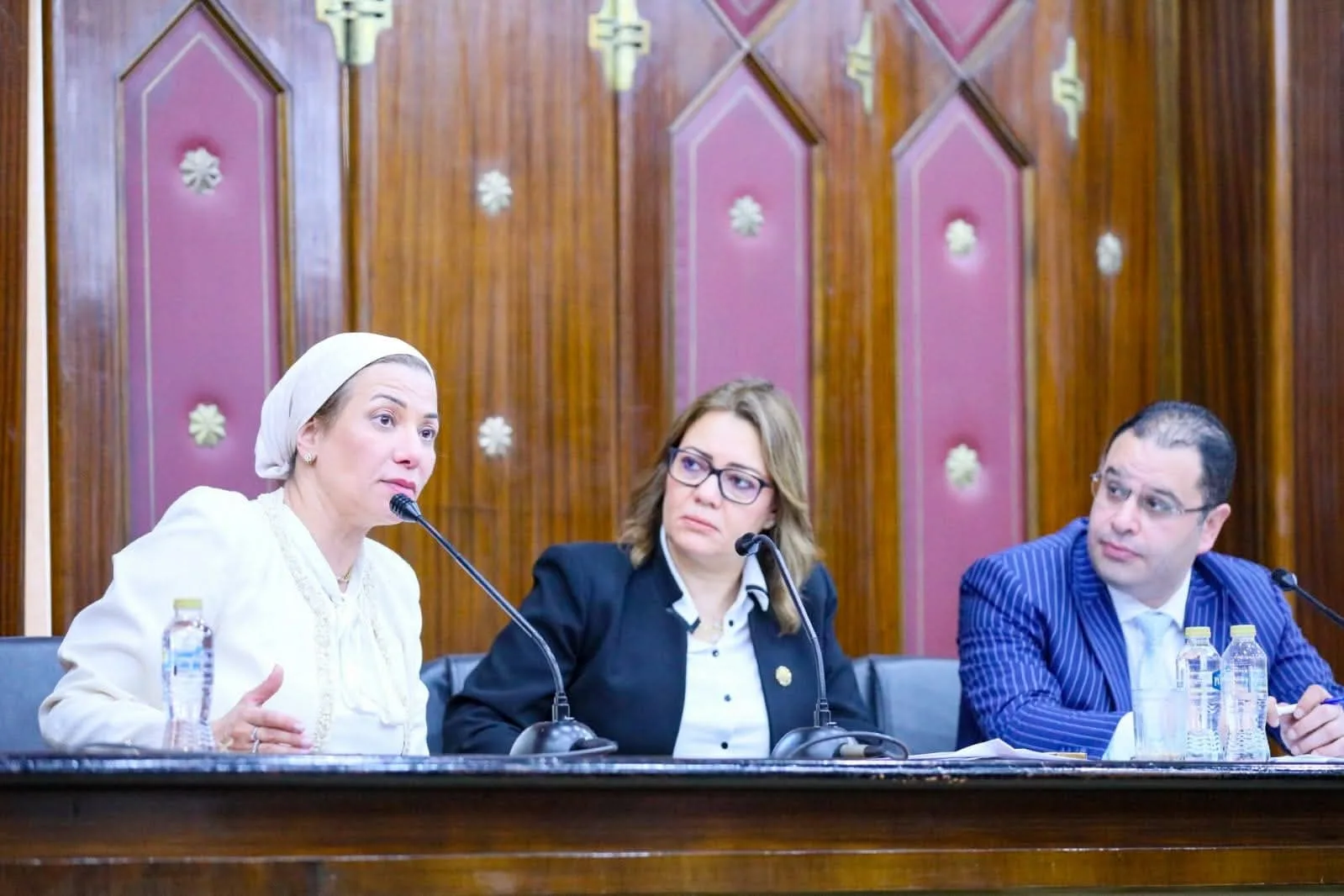 وزيرة البيئة تقدم عرضاً في لجنة الطاقة بالبرلمان حول جهود الوزارة في دعم الانتقال إلى الاقتصاد الأخضر وزيرة البيئة تقدم عرضاً في لجنة الطاقة بالبرلمان حول جهود الوزارة في دعم الانتقال إلى الاقتصاد الأخضر