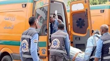 إصابة 6 أفراد جراء تصادم ميكروباص مع سيارة ربع نقل في الدقهلية