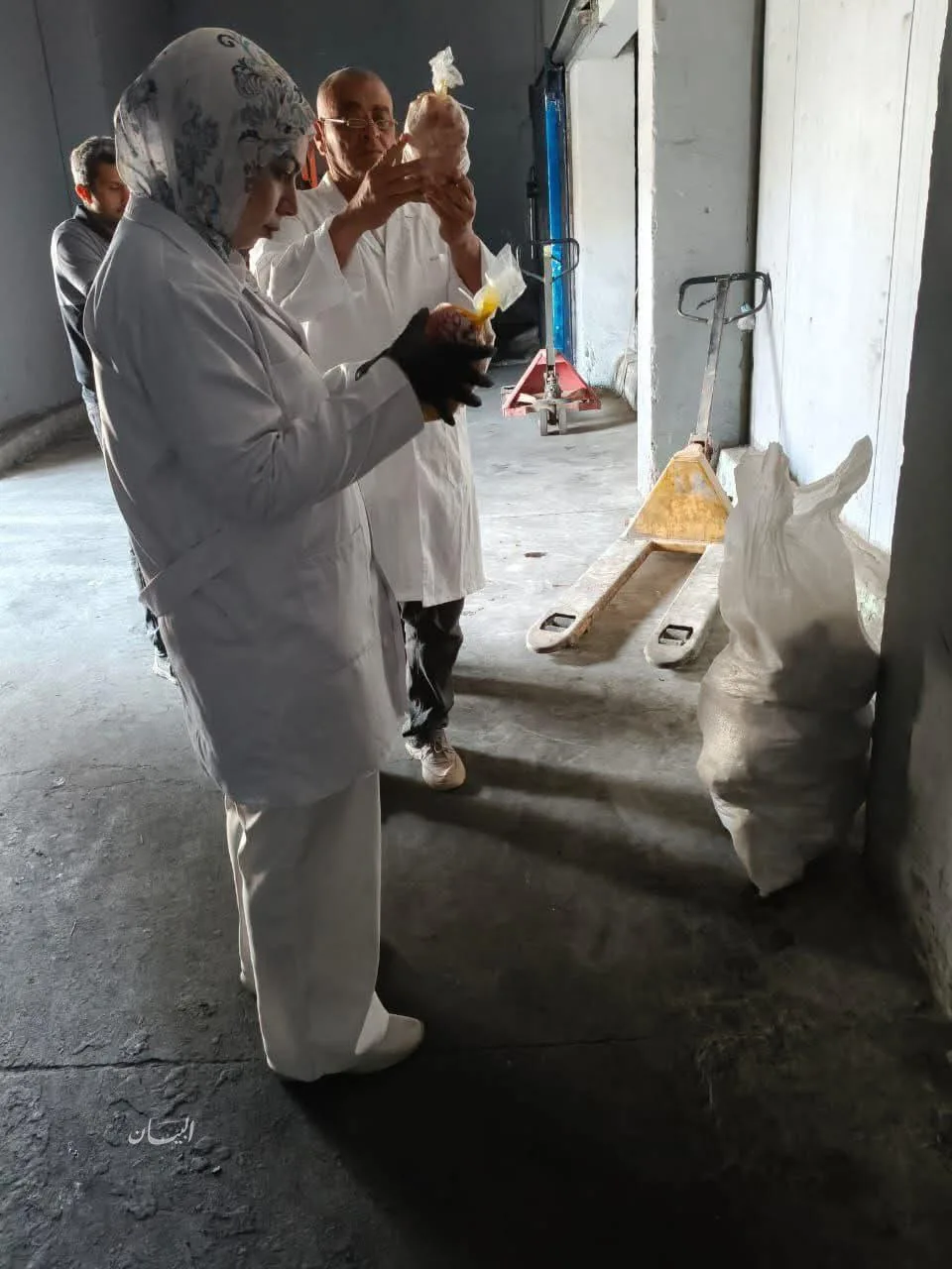 الطب البيطري في الشرقية يضبط 530 كجم من اللحوم والدواجن الطب البيطري في الشرقية يضبط 530 كجم من اللحوم والدواجن