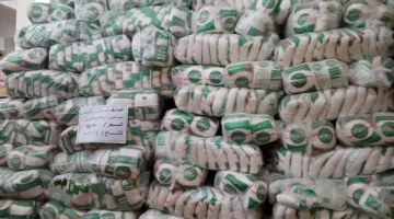 المؤسسة الغذائية: تزويد السوق بـ 65 ألف طن من السكر و24 ألف طن من المكرونة و10 آلاف طن من الأرز و43 ألف طن من الزيت المعبأ