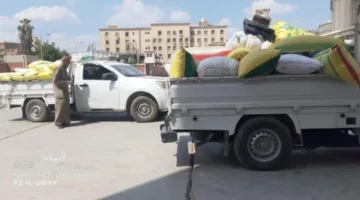 محافظ الشرقية يؤكد انتظام تسليم القمح إلى الشون والصوامع