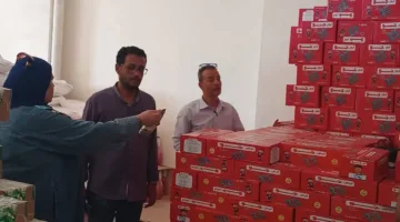 ضبط 10 آلاف قطعة من “لوليتا” ومصادرة كميات غير قانونية في بني سويف