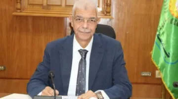إنقاذ حياة مريضة تعاني من سكتة دماغية حادة من خلال تدخل سريع ودقيق في مستشفيات جامعة المنوفية