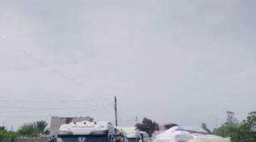 محافظة الشرقية تُكمل تسليم ٥٩٩٣٤٣ طن و٥٨٢ كيلوغرام من القمح المحلي.