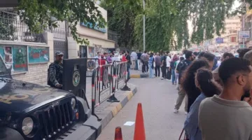 برونيكوف: انبهرت بطوابير الشباب في احتفالية الشيخ إمام