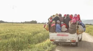 تحليل أسباب حادث المنوفية وتحديد الجهة المسؤولة