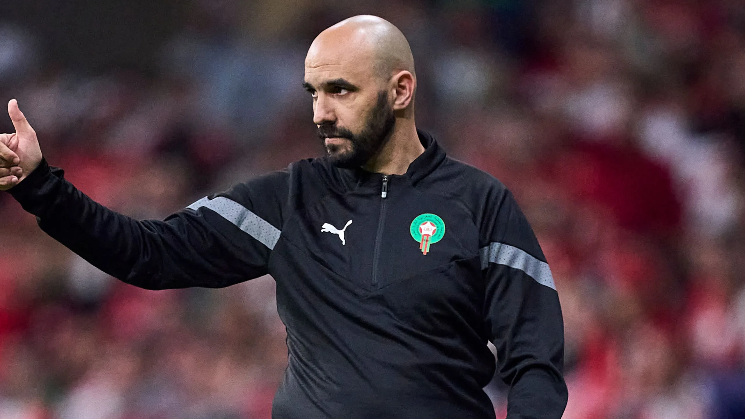 حقيقة تحديد مصير الركراكي مع المنتخب المغربي حقيقة تحديد مصير الركراكي مع المنتخب المغربي