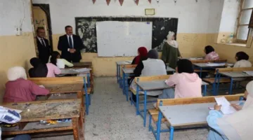 Link to the Intermediate Certificate Results for Cairo Governorate