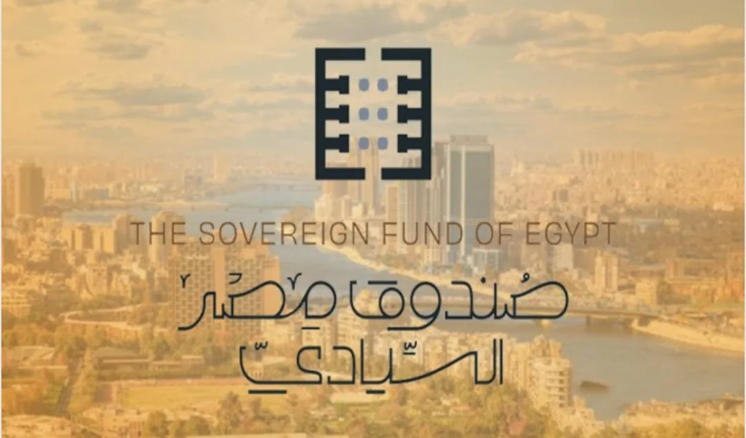 «الصندوق السيادي المصري» يقوم بتقييم برنامج الطروحات الحكومية لإدخال حوالي 25 شركة جديدة «الصندوق السيادي المصري» يقوم بتقييم برنامج الطروحات الحكومية لإدخال حوالي 25 شركة جديدة