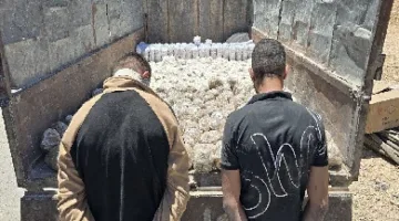 ضبطت السلطات السورية شحنة كبيرة من الكبتاجون والحشيش قادمة من لبنان.