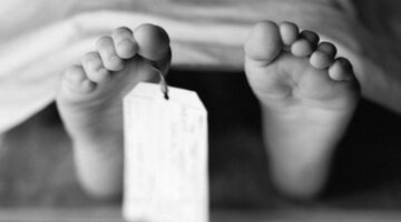وفاة طفلة نتيجة سقوط نخلة عليها أثناء مرورها في قوص بقنا