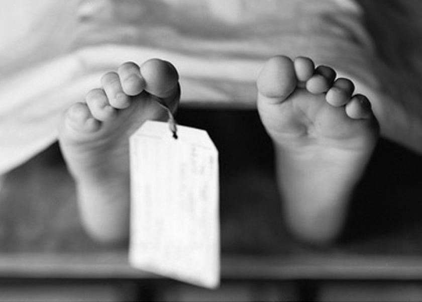 وفاة طفلة نتيجة سقوط نخلة عليها أثناء مرورها في قوص بقنا وفاة طفلة نتيجة سقوط نخلة عليها أثناء مرورها في قوص بقنا